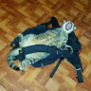 Meet your Posher, Wendy